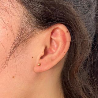 Tara Studs 2mm- 18k Gold Plated
